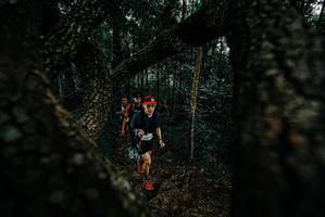 BIB: 
                            <button type="button" onclick="openModal(25677184)" class="btn btn-primary btn-sm float-right btn-popup" data-toggle="modal" data-target=".modal-high-quality">
                        <i class="fas fa-shopping-cart"></i> Add to Cart
                    </button>
                                            <button type="button" onclick="isThisMe(25677184, true)" class="btn btn-success btn-sm float-right btn-popup btn-isme hidden" data-toggle="tooltip" data-placement="bottom" title="นี่คือรูปของคุณใช่ไหม คลิกที่นี่เพื่อเอาเข้าอัลบั้ม">
                        <i class="fas fa-plus"></i> Add to album
                    </button>
                    <button type="button" onclick="isThisMe(25677184, false)" class="btn btn-warning btn-sm float-right btn-popup btn-isnotme hidden">
                        <i class="fas fa-ban"></i> Remove from album
                    </button>